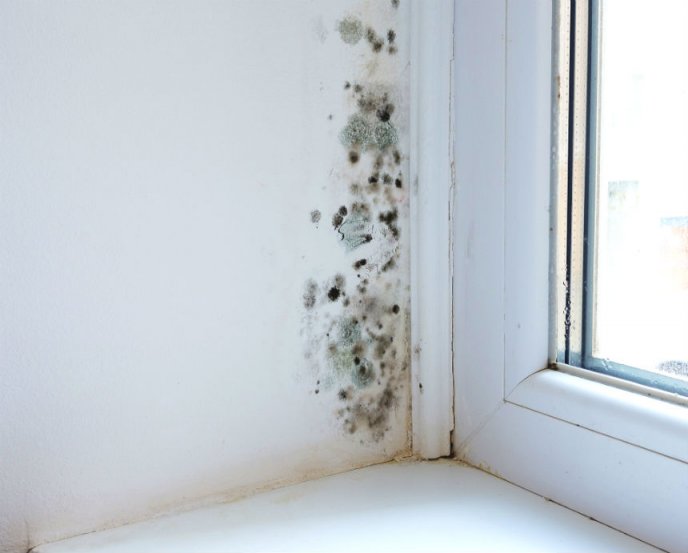 patologias vivienda meraki humedad ventana